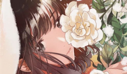 动漫拍照,捕捉光影中的青春记忆